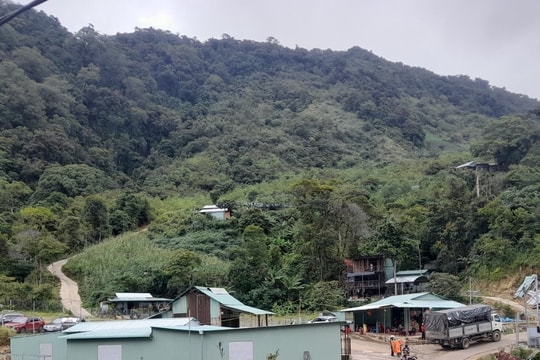 Không dễ bán tín chỉ carbon