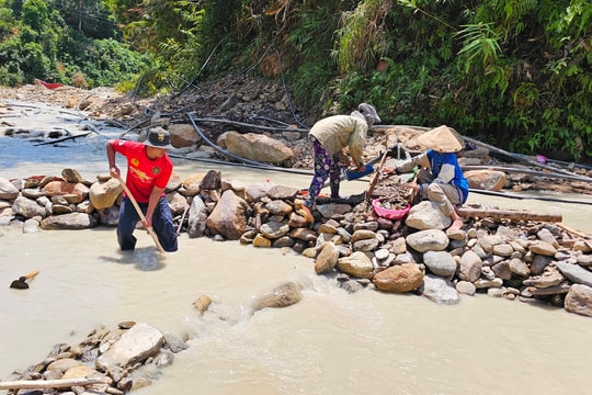 ​Sông suối cạn, đổ xô đi đào đãi vàng sa khoáng