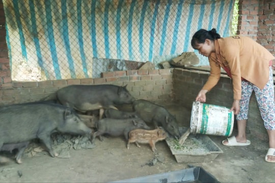 Ban hành quy định chuẩn nghèo đa chiều quốc gia giai đoạn 2026 - 2030