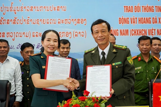 Lực lượng kiểm lâm Quảng Nam - Sê Kông phối hợp bảo vệ động vật hoang dã