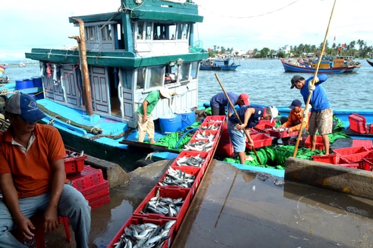 Triển khai Luật Thủy sản: Tiến tới xóa sổ tàu cá “3 không”