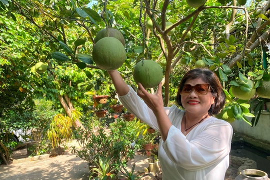 Độc đáo làng Đại Bình