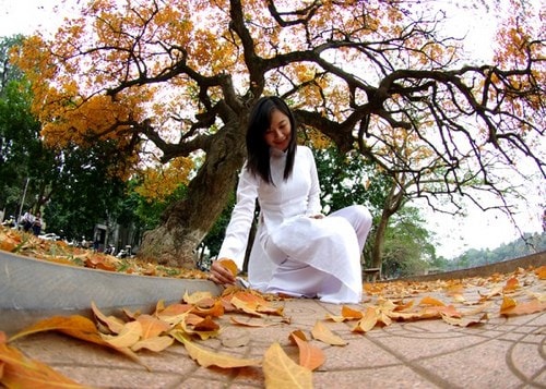 Ký ức của đường ngôi