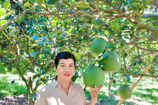 Động lực phát triển kinh tế vườn từ chính sách của HĐND tỉnh Quảng Nam