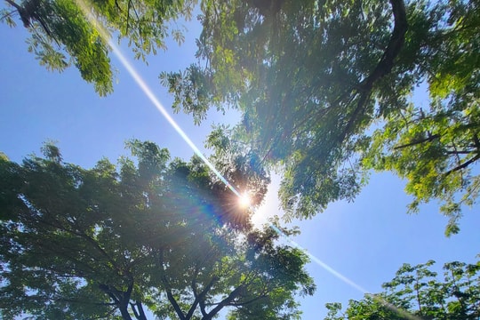 Phố Hội sớm mai