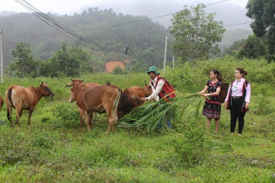 Giảm nghèo từ vốn chính sách ở Tây Giang