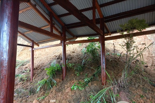 Nam Trà My di dời khẩn cấp 51 hộ dân trong đêm