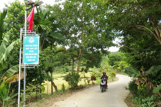 Xã Tiên Mỹ duy trì và nâng chuẩn nông thôn mới