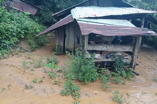 Xã Trà Tập di dời 26 hộ dân làng Lăng Lương phòng tránh sạt lở