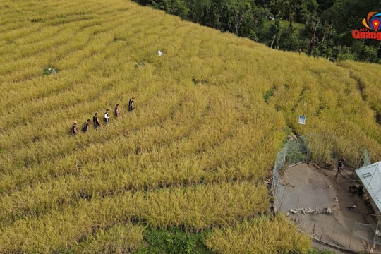 Đồng bào vùng cao đoàn kết giúp nhau thoát nghèo