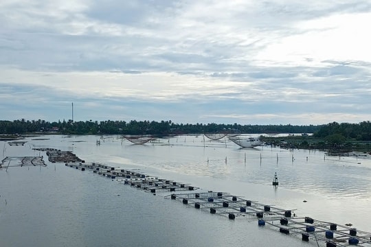 Núi Thành chấn chỉnh tình trạng nuôi cá lồng bè trái phép