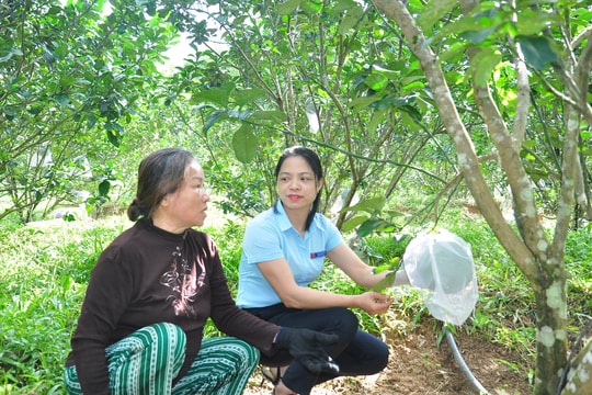 Hiệp Đức nỗ lực đưa chính sách vào cuộc sống