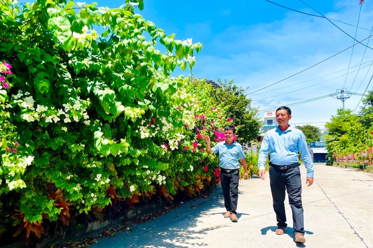 Tận tụy với quê hương
