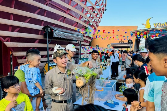 Hội chợ "Ươm mầm yêu thương" chia sẻ đồng bào miền Bắc bị thiên tai