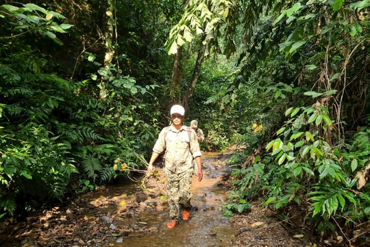 Quảng Nam giữ bình yên cho cánh rừng biên giới