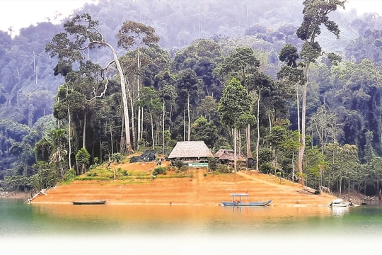 Điều chỉnh dự án xây dựng nhà vườn ươm tại Vườn quốc gia Sông Thanh