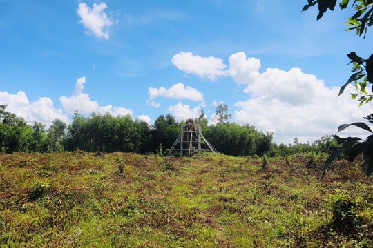 Bộ VH-TT&DL trả lời cử tri Quảng Nam về di tích Phật viện Đồng Dương