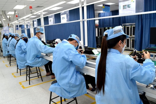 Doanh nghiệp Quảng Nam thích ứng sản xuất xanh