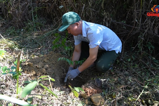 Vì màu xanh bền vững