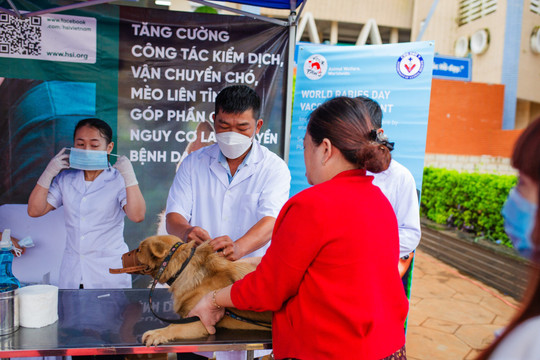 Quyết liệt phòng, chống bệnh dại, yêu cầu tiêm phòng 100% tại khu vực có dịch