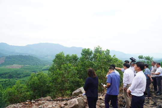 Nghiên cứu đầu tư trang trại sản xuất, chăn nuôi heo và trồng cây ăn quả 350ha tại Nông Sơn