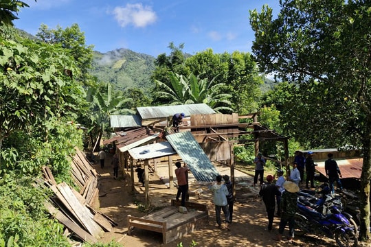 Tình làng trong nguy khó