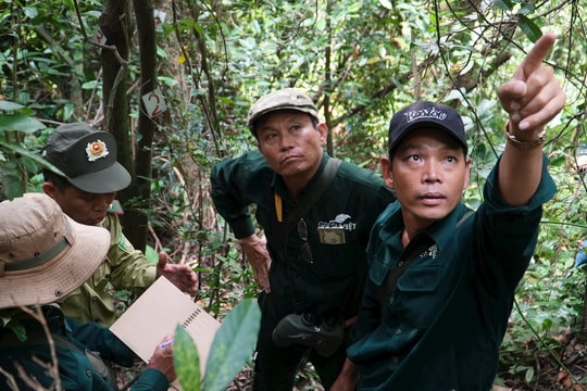 Theo chân người đi... đếm voọc