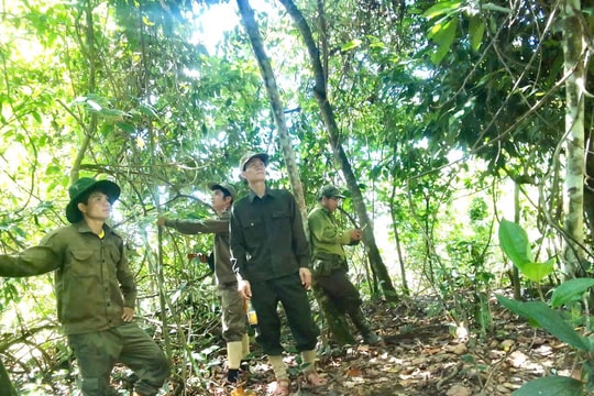 Đảm bảo tiến độ kiểm tra chi trả dịch vụ môi trường rừng