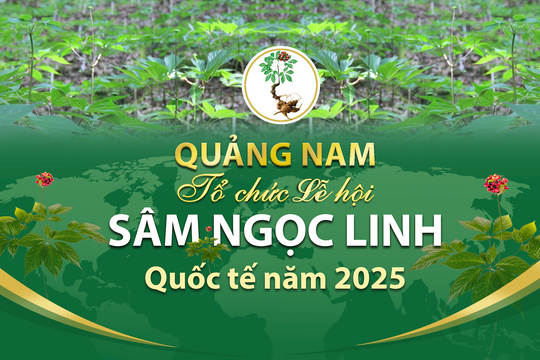 Quảng Nam tổ chức Lễ hội sâm Ngọc Linh quốc tế năm 2025