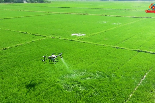 Ứng dụng thiết bị bay trong nông nghiệp