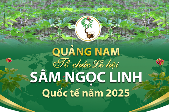 International Ngoc Linh ginseng festival to open in 2025