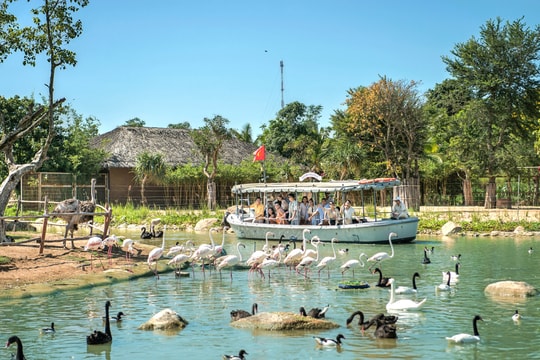 Du lịch Quảng Nam xoay xở mùa thấp điểm