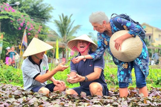 Kế hoạch phát triển sản phẩm du lịch Quảng Nam đến năm 2030: Những điểm nhấn đáng chờ đợi