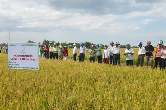 Nông nghiệp Quế Sơn chuyển biến tích cực