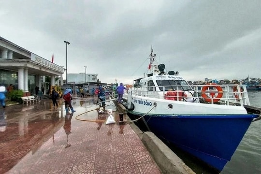Ứng phó bão Trami: Tạm dừng hoạt động tuyến vận tải khách Sa Kỳ-Lý Sơn