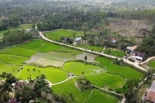 Tiên Phước phấn đấu đạt chuẩn huyện nông thôn mới