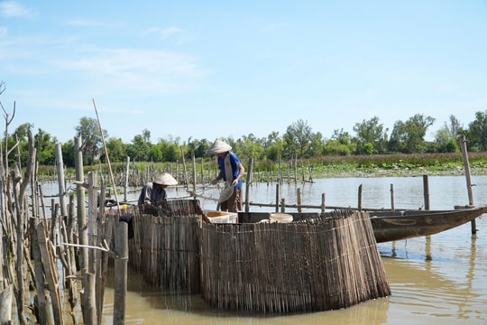 Nghiên cứu đa dạng sinh học Sông Đầm: Kỳ vọng ứng dụng vào quản lý, bảo tồn