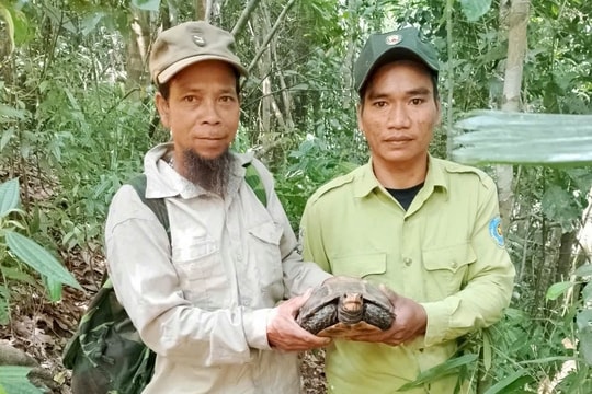 Đông Giang tuyên truyền nâng cao nhận thức bảo vệ động vật hoang dã