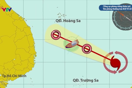 [Video] - Cách nhận biết bão và thoát hiểm an toàn cho tàu thuyền
