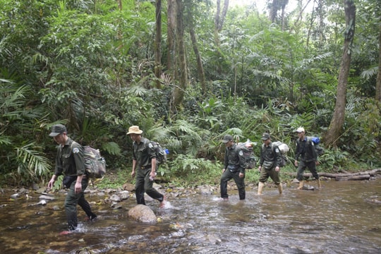 Chi trả dịch vụ môi trường rừng: Thiết lập cơ chế bảo vệ rừng ổn định