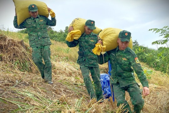 Bộ đội Biên phòng, dân quân biên giới giúp dân thu hoạch lúa mùa