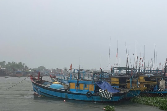 Quảng Nam kêu gọi tàu cá tránh trú an toàn trước bão số 1