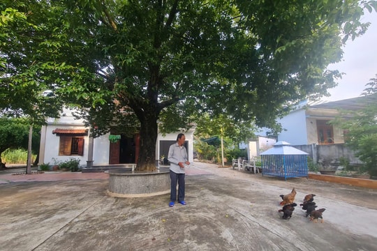 Điển hình người cao tuổi làm kinh tế giỏi ở Quảng Nam