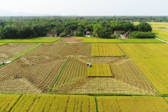 Thăng Bình thu hồi 635ha đất để thực hiện các dự án