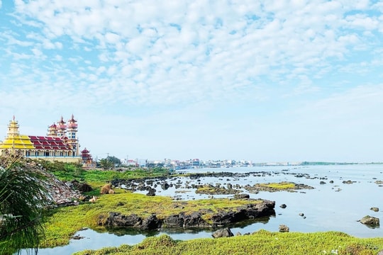 Kinh nghiệm du lịch Lý Sơn khởi hành từ Đà Nẵng