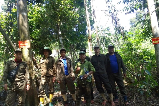 Chuyển đổi số trong chi trả dịch vụ môi trường rừng ở Quảng Nam