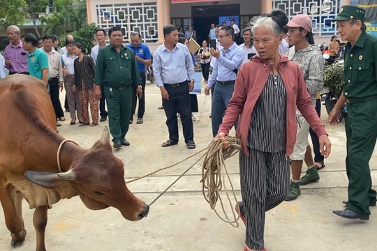 Kết nối tình đồng hương