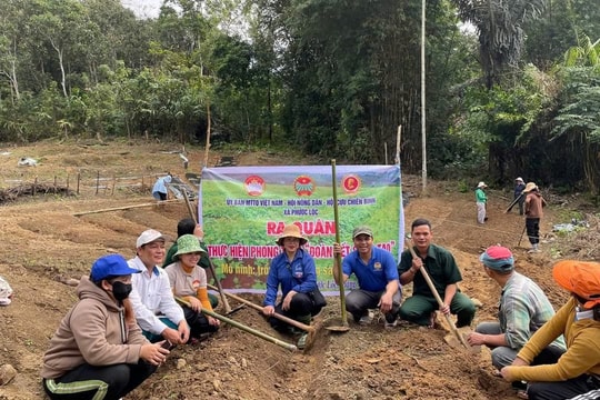 Liên kết trồng đẳng sâm