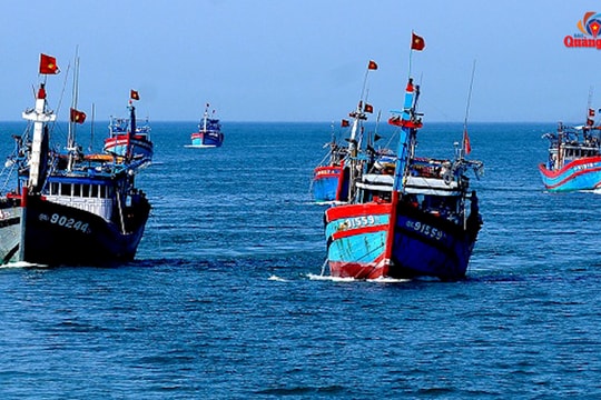 Ngư dân nỗ lực vươn khơi mùa biển động