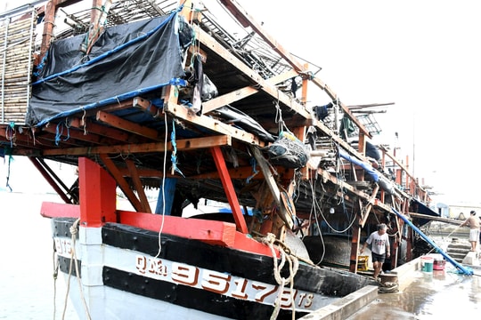 Ngư dân Quảng Nam kỳ vọng chuyến biển câu mực khơi cuối năm